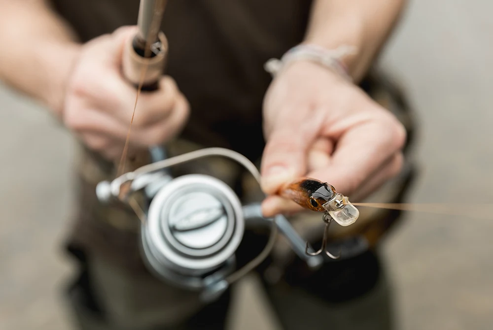 PK Fish Racing - Orsók